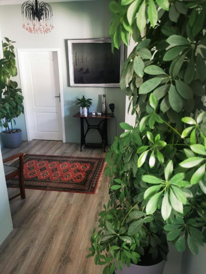 Sombor 19 Central Apartment מראה חיצוני תמונה
